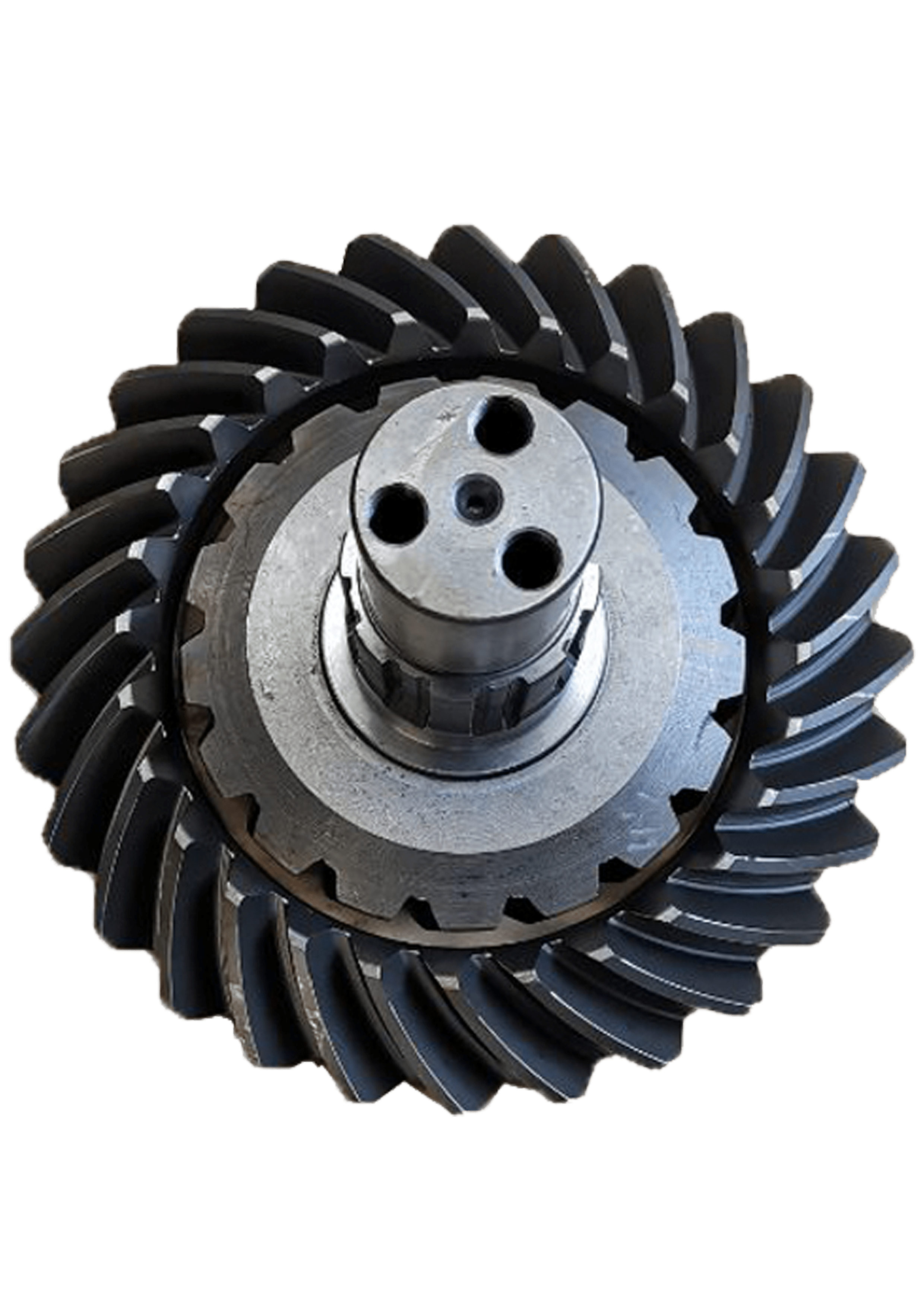 Sin título-1-min (1)